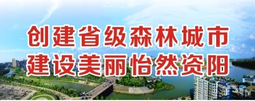 想要大鸡巴操逼视频创建省级森林城市 建设美丽怡然资阳